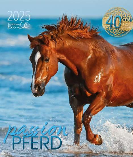 Passion Pferd 2025, Kalender