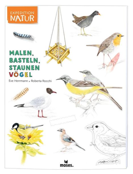 Eve Herrmann: Expedition Natur: Malen, Basteln, Staunen - Vögel, Buch