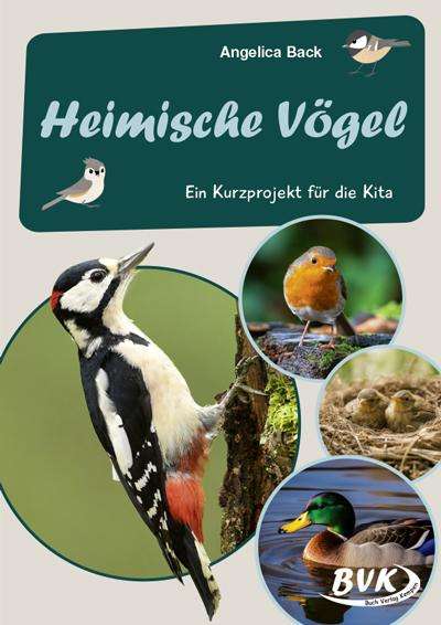 Angelica Back: Heimische Vögel -, Buch