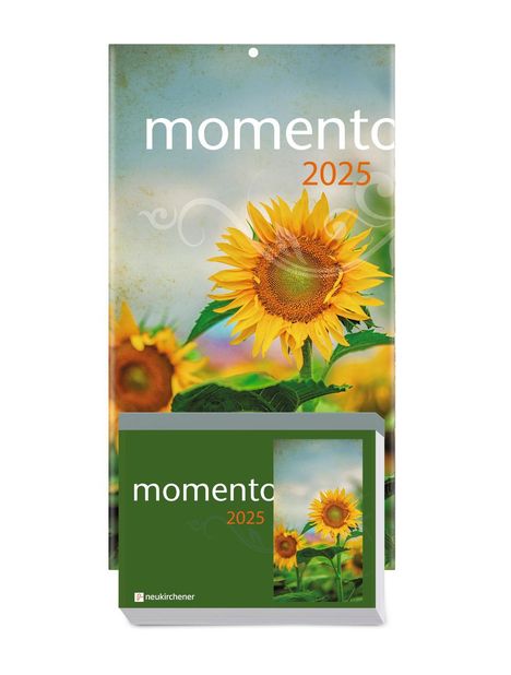 momento 2025 - Abreißkalender mit Rückwand und Aufstellfuß, Kalender