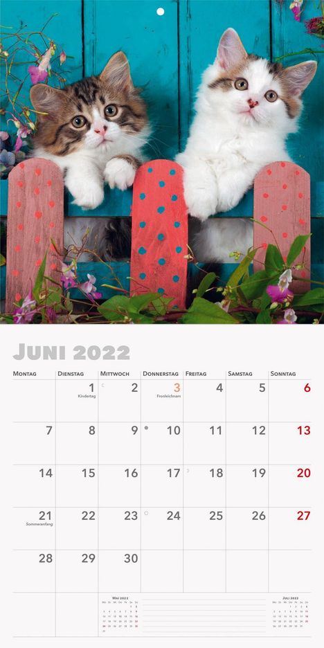 Trötsch Broschürenkalender Katzen 2022, Kalender