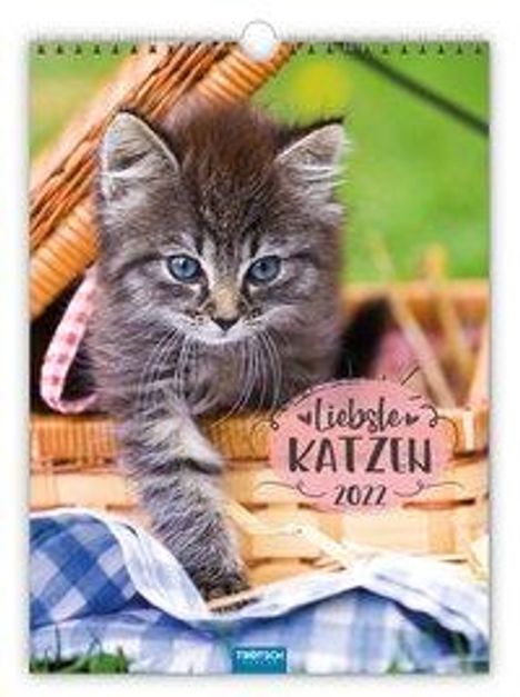 Classickalender "Liebste Katzen" 2022, Kalender
