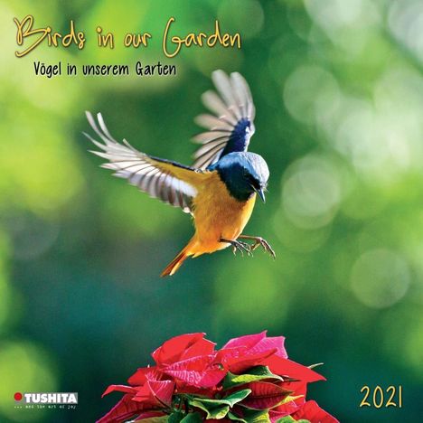 Birds in our Garden 2021 What a Wonderful World, Kalender
