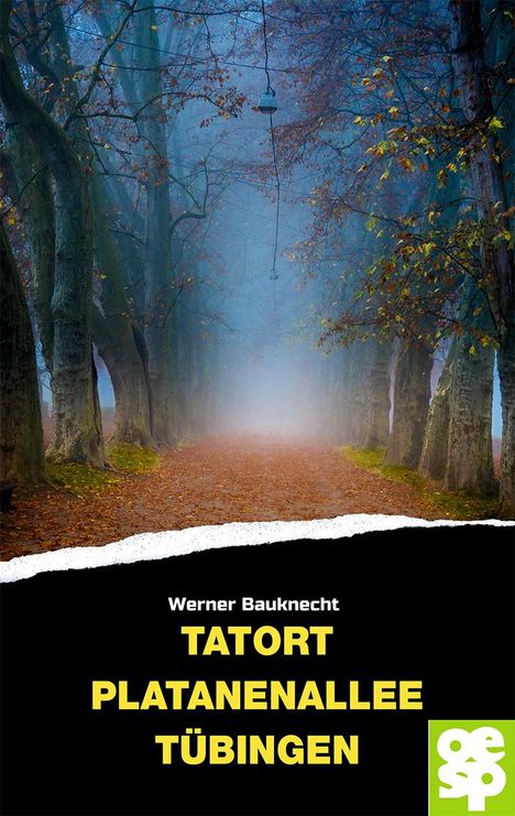 Werner Bauknecht: Tatort Platanenallee Tübingen, Buch