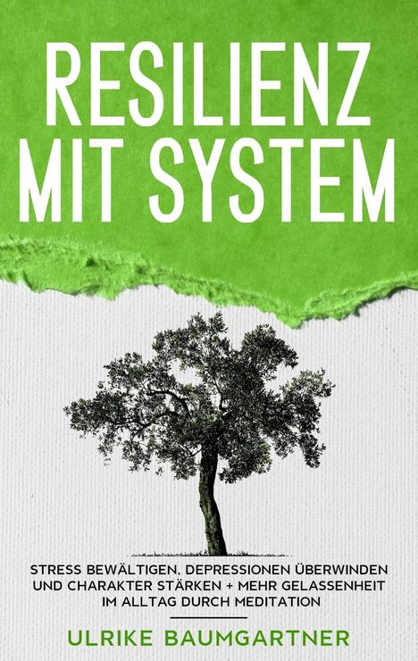 Ulrike Baumgartner: Baumgartner, U: Resilienz mit System: Der Weg zur inneren, Buch