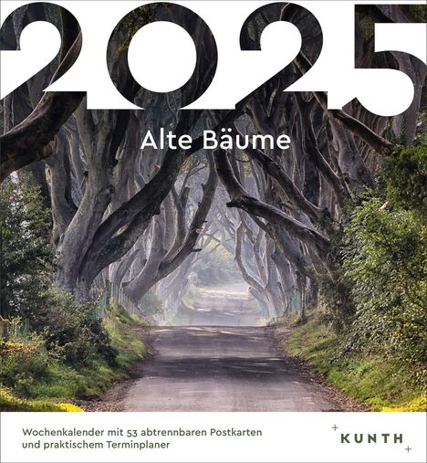 Alte Bäume - KUNTH Postkartenkalender 2025, Kalender