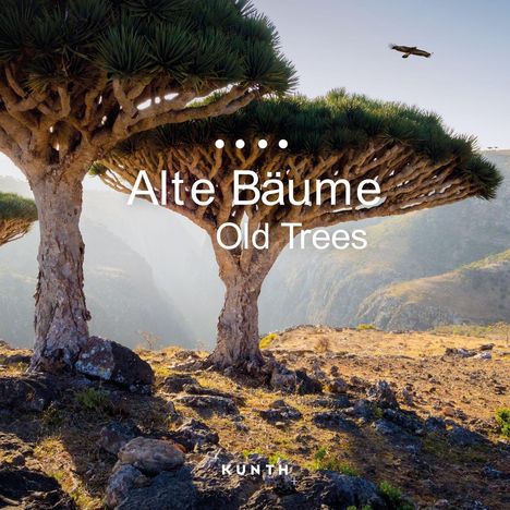 Alte Bäume - KUNTH Broschurkalender 2025, Kalender