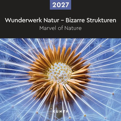 2027, Wunderwerk Natur – Bizarre Strukturen, Marvel of Nature. Detailaufnahme einer Pusteblume in Nahaufnahme.