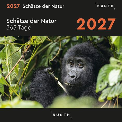 2027 Schätze der Natur, 365 Tage. Ein Gorilla isst in einem dichten, grünen Wald. Logo: KUNTH.