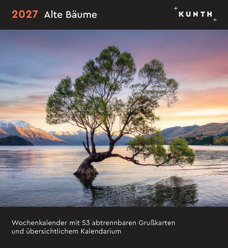 2027 Alte Bäume. Wochenkalender mit 53 abtrennbaren Grußkarten. Einsamer Baum im Wasser, Berge und Sonnenuntergang.