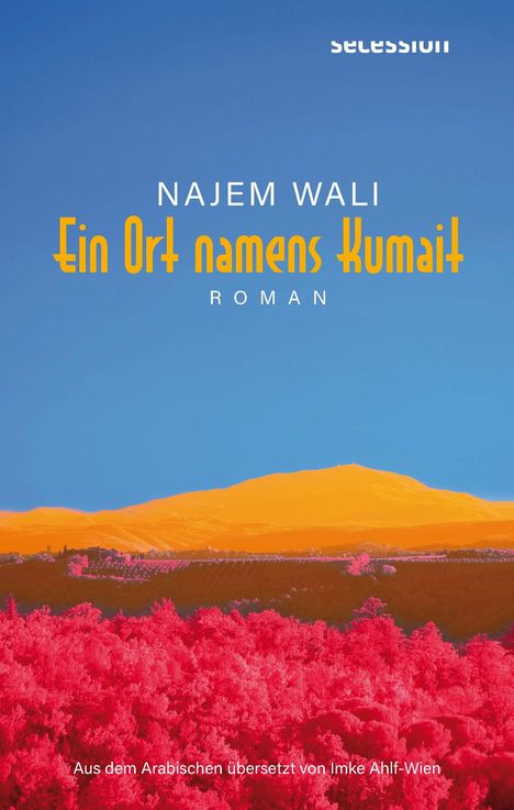 Najem Wali: Ein Ort namens Kumait, Buch