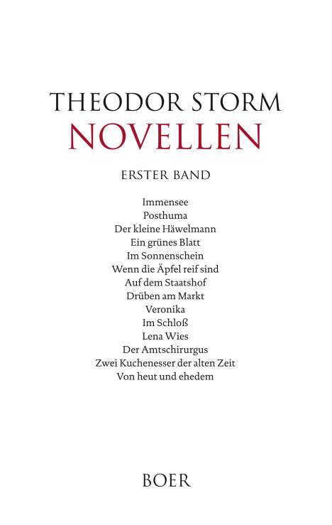 Theodor Storm: Novellen erster Band, Buch