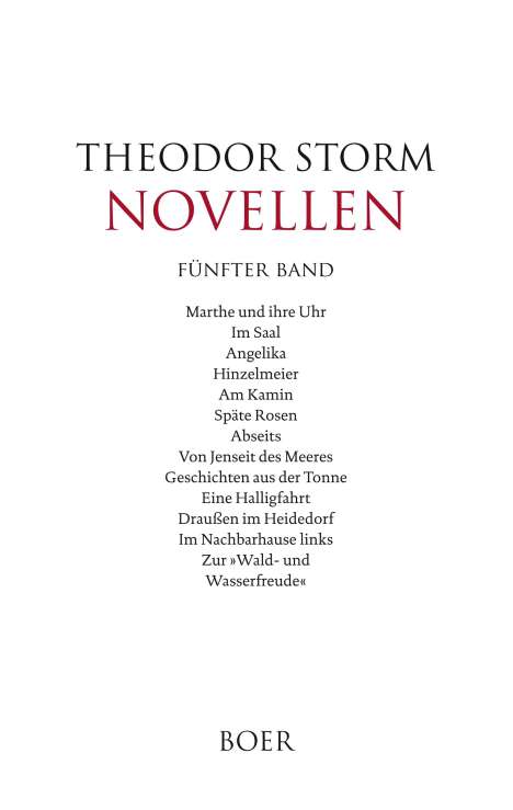 Theodor Storm: Novellen fünfter Band, Buch