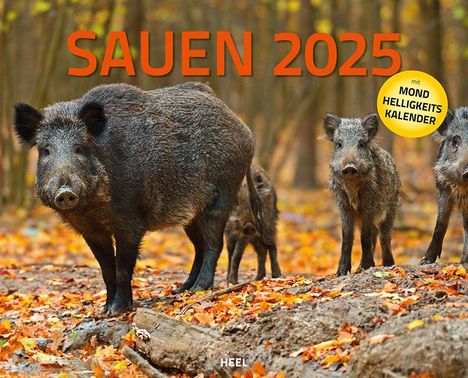 Sauen Kalender 2025 Jagd-Kalender im XXL-Format, Kalender