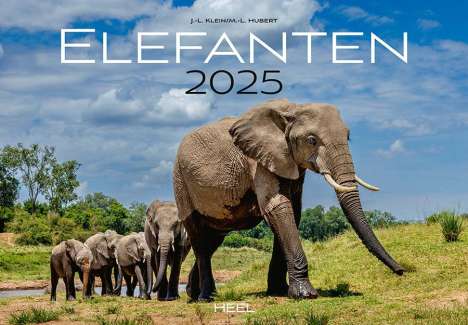 J. -L. Klein: Elefanten Kalender 2025, Kalender