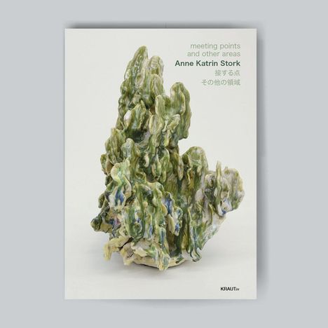 Anne Katrin Stork: meeting points and other areas, Buch