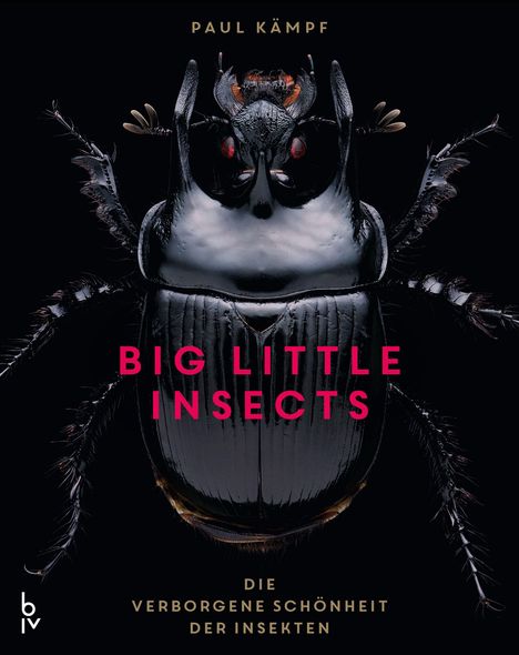 „BIG LITTLE INSECTS“, „DIE VERBORGENE SCHÖNHEIT DER INSEKTEN“. Nahaufnahme eines schwarzen Käfers auf schwarzem Hintergrund.