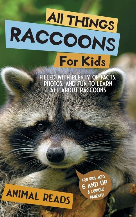 „All Things Raccoons for Kids“ zeigt einen Waschbär, umgeben von bunten Textboxen mit Fakten und Zielgruppe.
