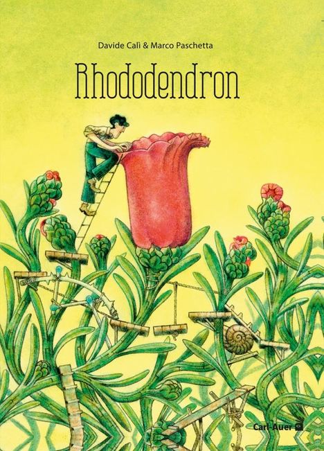 Davide Calì: Rhododendron, Buch