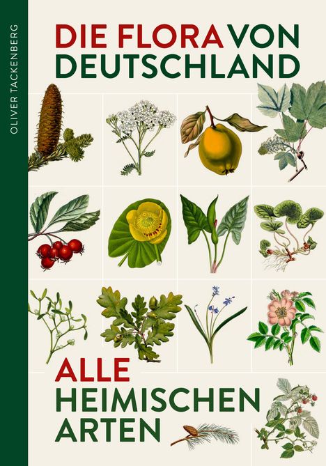 Oliver Tackenberg: Die Flora von Deutschland. Alle heimischen Arten, Buch