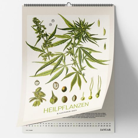 Historische Heilpflanzen. Wandkalender 2025, Kalender
