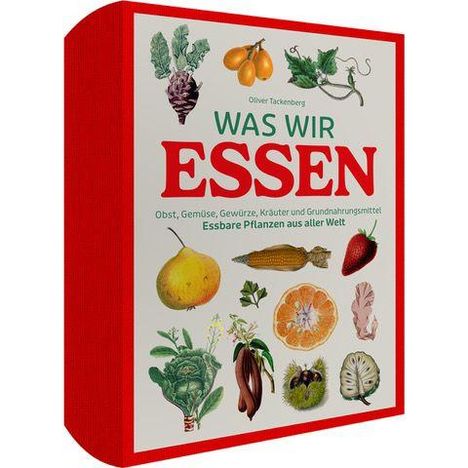 Aufschrift: "Was wir essen" von Olivier Tackenberg. Illustrationen von Obst, Gemüse und Pflanzen.