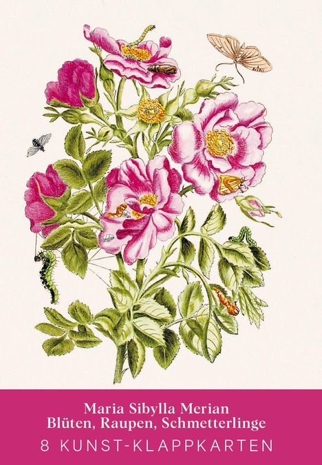 Maria Sibylla Merian - Acht Kunst-Klappkarten, Buch