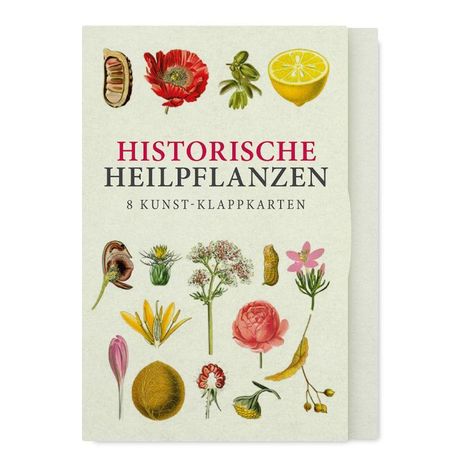 "HISTORISCHE HEILPFLANZEN 8 KUNST-KLAPPKARTEN." Illustration von Pflanzen und Blüten in verschiedenen Farben.