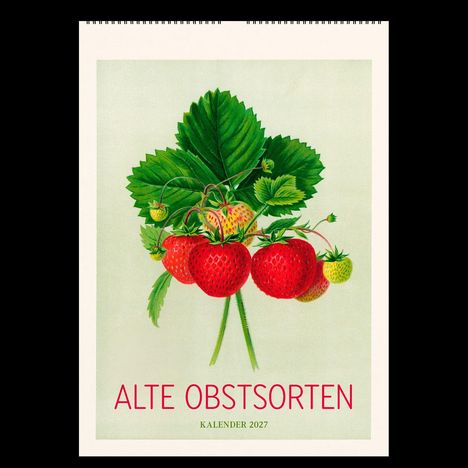 Text: "ALTE OBSTSORTEN KALENDER 2027". Eine Illustration von Erdbeeren und grünen Blättern.