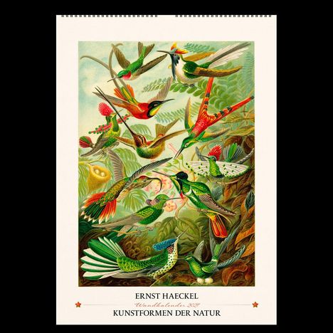 Ernst Haeckel: Kunstvolle Kolibris in lebendigen Farben und dynamischen Flugposen, umgeben von üppiger Vegetation.