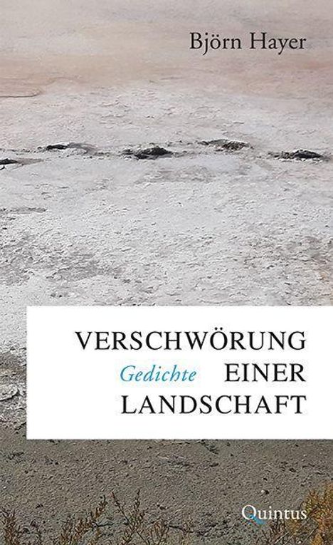 Björn Hayer: Verschwörung einer Landschaft, Buch