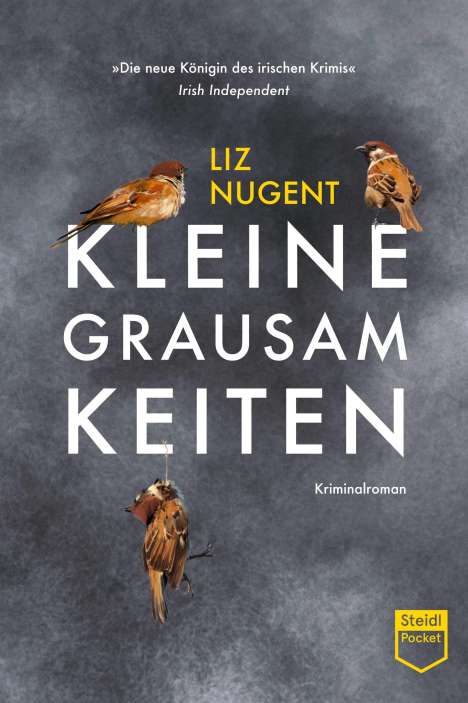 Liz Nugent: Kleine Grausamkeiten (Steidl Pocket), Buch