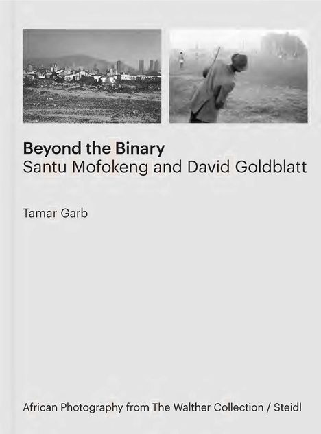 Tamar Garb: Tamar Garb: Beyond the Binary, Buch