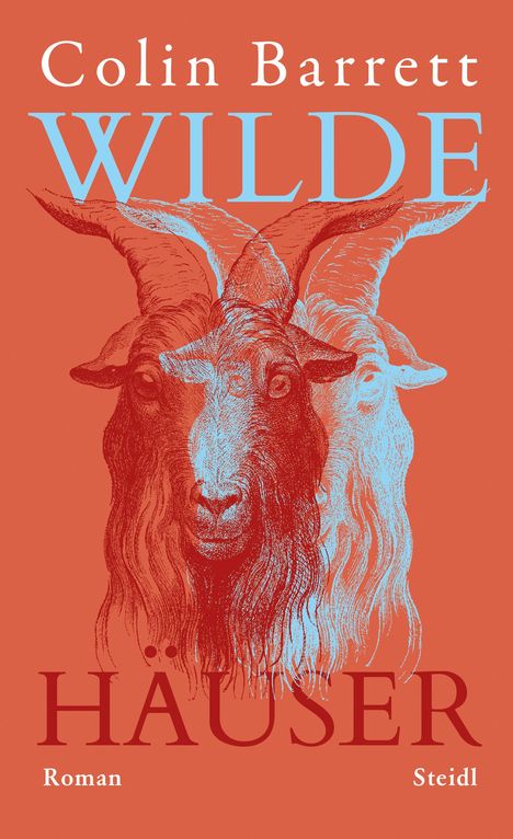 Colin Barrett: Wilde Häuser, Buch