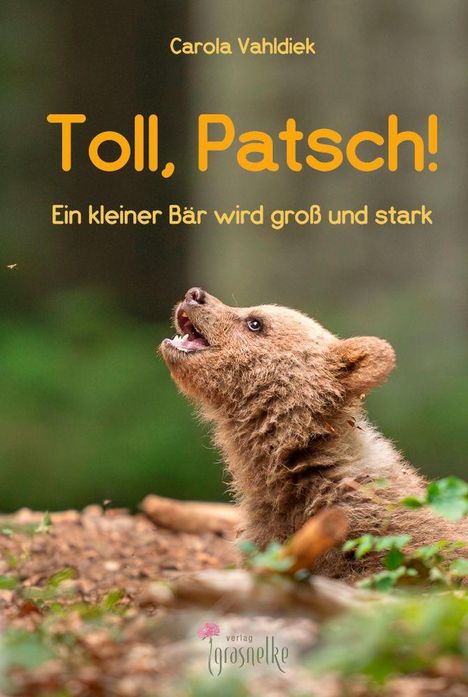 Carola Vahldiek, "Toll, Patsch! Ein kleiner Bär wird groß und stark". Ein kleiner Bär schaut nach oben, umgeben von Wald.