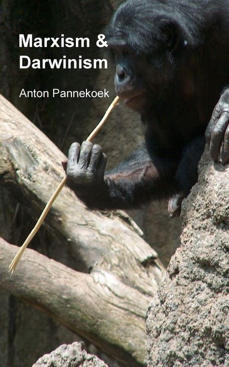 "Marxism & Darwinism" und "Anton Pannekoek". Ein Affe benutzt einen Ast als Werkzeug auf einem Baumstamm.