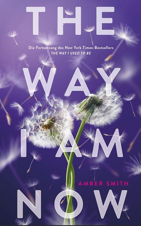 Amber Smith: The way I am now, Buch