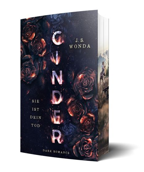 J. S. Wonda: Cinder, Buch