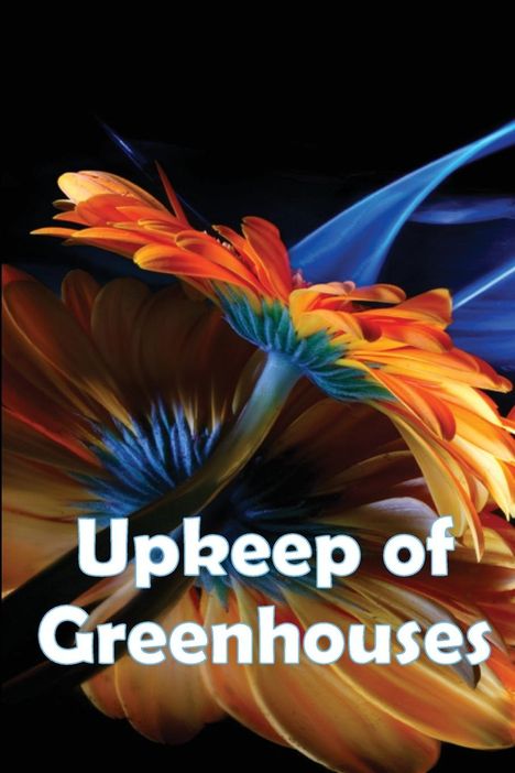 Selena Hitzfeld: Upkeep of Greenhouses, Buch