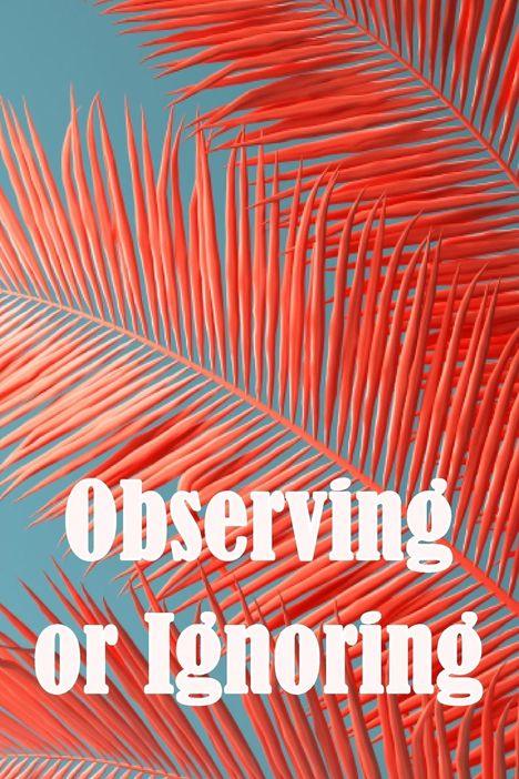 Ewelina Michaelides: Observing or Ignoring, Buch
