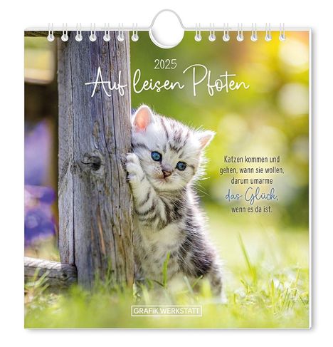 Postkartenkalender 2025 Auf leisen Pfoten, Kalender