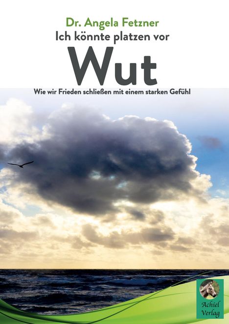 Angela Fetzner: Ich könnte platzen vor Wut, Buch