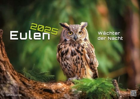 Eulen - Wächter der Nacht - 2025 - Kalender DIN A2, Kalender