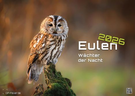 Eulen - Wächter der Nacht - 2026 - Kalender DIN A3, Kalender