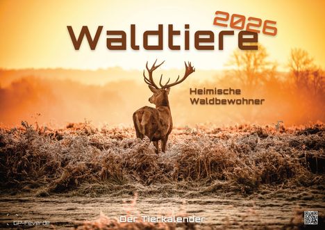 Waldtiere - Heimische Waldbewohner - Der Tierkalender - 2026 - Kalender DIN A3, Kalender
