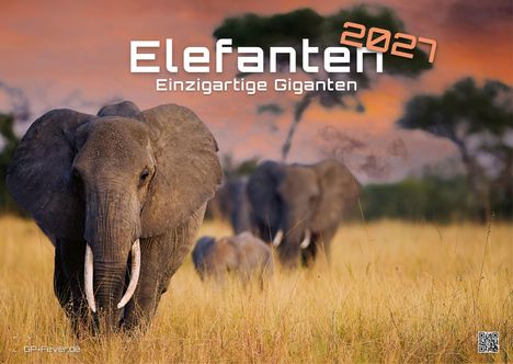 "Elefanten 2027 - Einzigartige Giganten" steht über einer Savannenlandschaft mit Elefantenherde vor einem bunten Himmel.