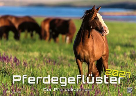 "Pferdeflüster 2027. Der Pferdekalender." Braunes Pferd auf einer grünen Wiese, weitere Pferde im Hintergrund, blauer Fluss.