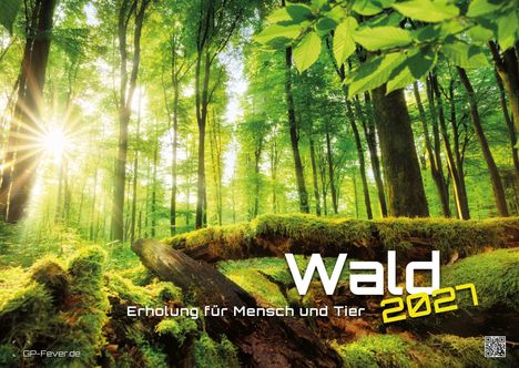 „Wald 2027: Erholung für Mensch und Tier“. Sonnendurchfluteter, grüner Wald mit Moos und hohen Bäumen.