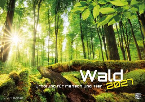 „Wald 2027. Erholung für Mensch und Tier.“ Sonnenstrahlen in einem grünen Wald, auf einem moosbedeckten Baumstamm.