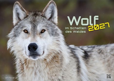 „Wolf 2027: Im Schatten des Waldes“. 

Ein Wolf mit aufmerksamem Blick, in einem natürlichen Hintergrund.